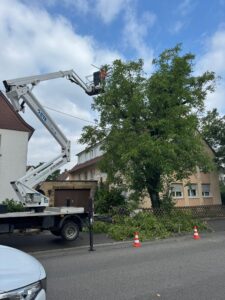 Baumschnitt mit Hebebühne an der Straße vor Wohnhaus – LULA Galabau in Bad Kreuznach